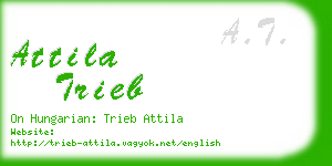 attila trieb business card